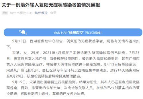 宁波新公司最新爆料信息,颠覆性创新产品即将亮相,引领行业新潮流