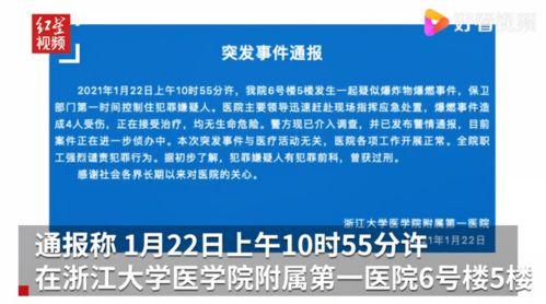 爆料浙江大学事件视频最新,真相与争议交织,校园风云再起