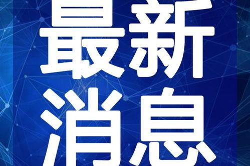 散兵最新语录爆料视频,最新爆料视频深度解析
